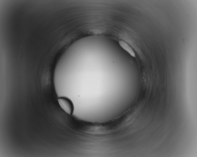 X0000089740212200707121513