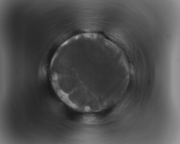 X0000089740214200707121513