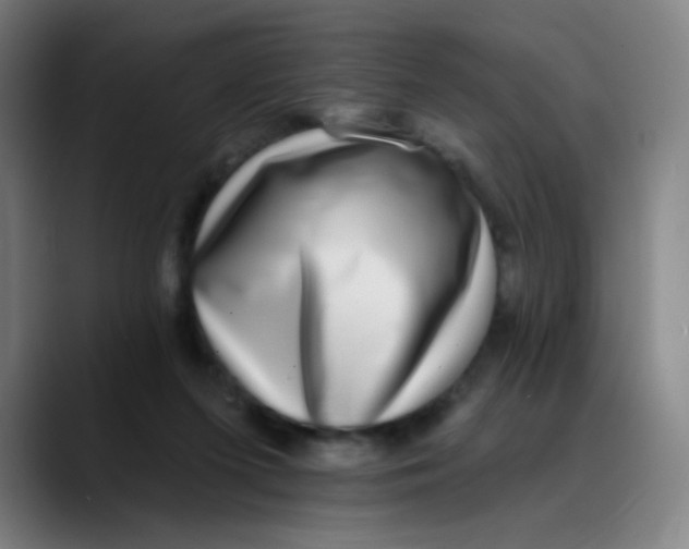 X0000089740215200707121513