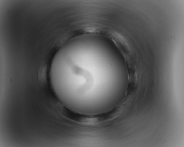 X0000089740217200707121513