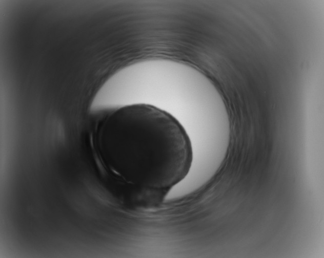 X0000089740219200707121513