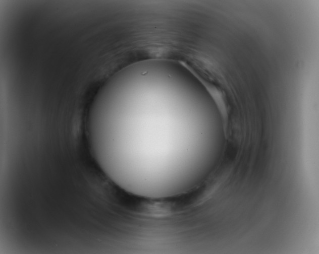 X0000089740221200707121513