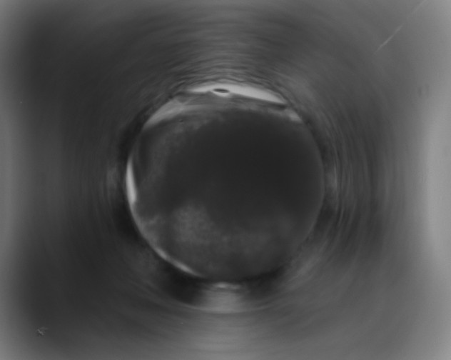 X0000089740222200707121513