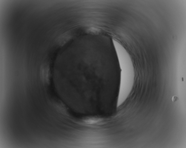 X0000089740223200707121513