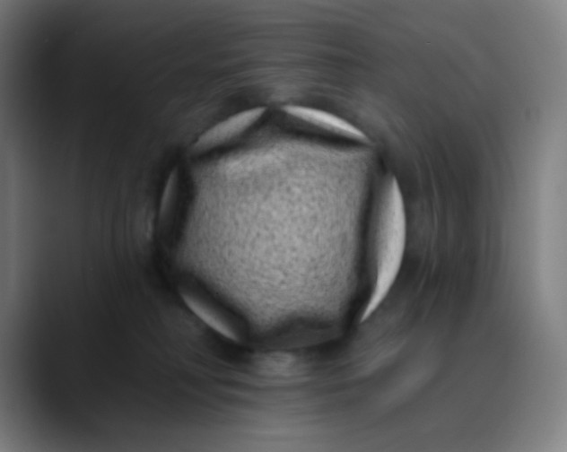 X0000089740230200707121513