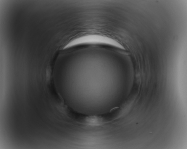 X0000089740231200707121513