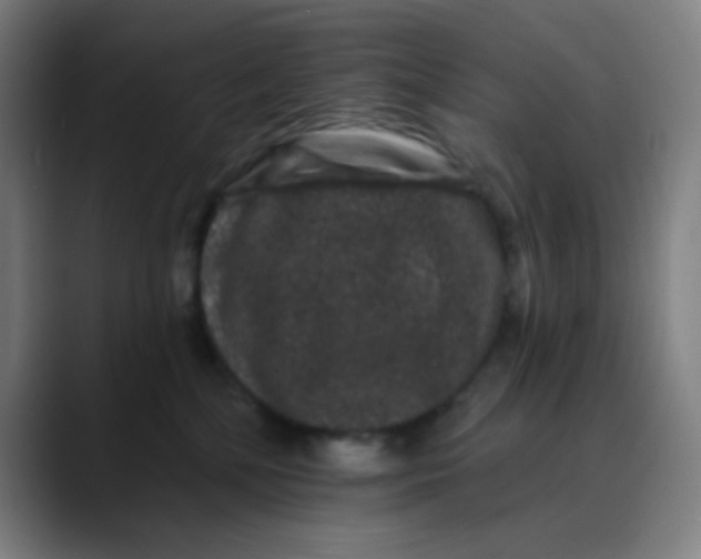 X0000089740232200707121513