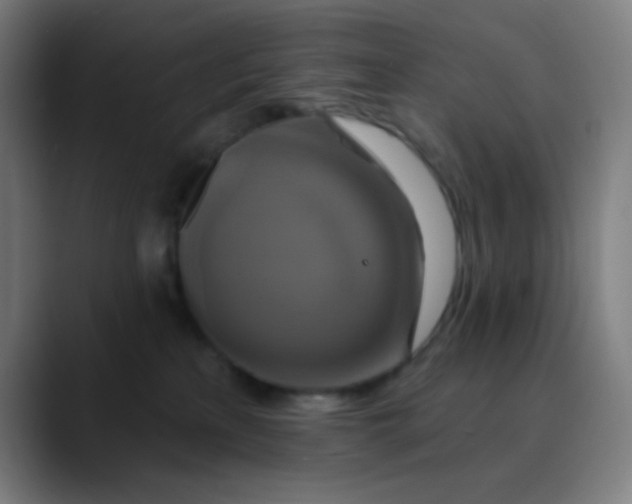 X0000089740233200707121513