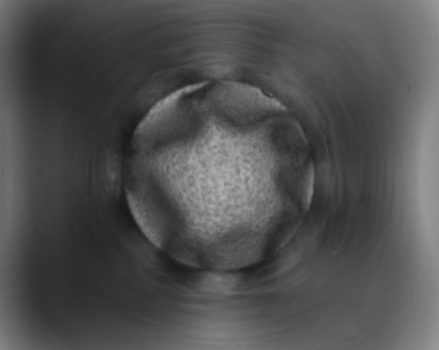 X0000089740234200707121513