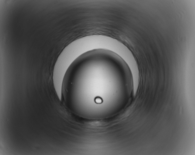 X0000089740237200707121513