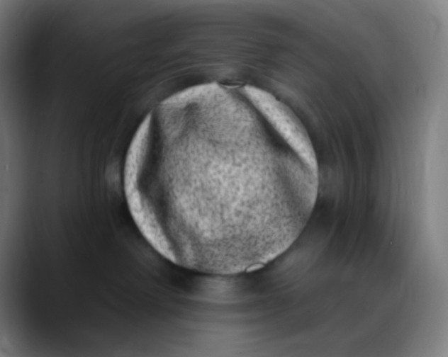 X0000089740238200707121513