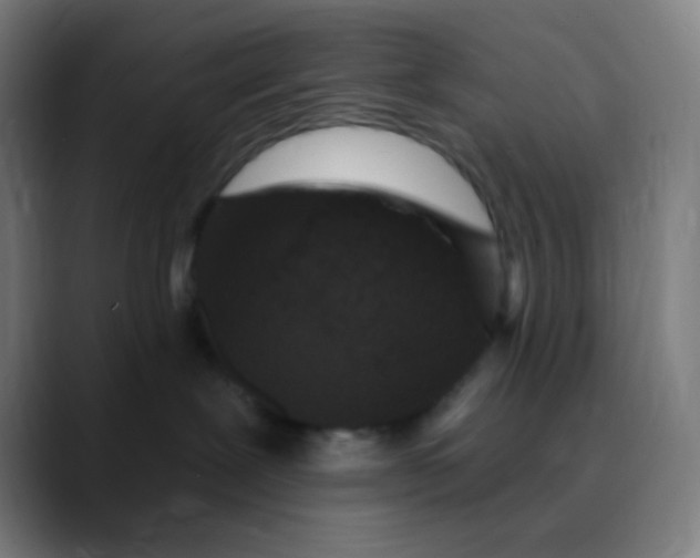 X0000089740239200707121513