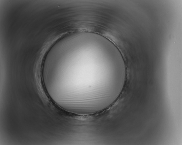 X0000089740241200707121512