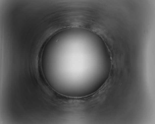 X0000089740242200707121512