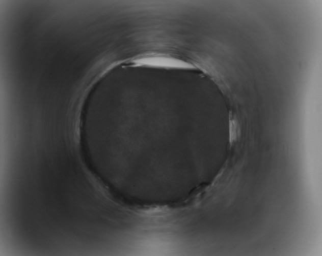 X0000089740243200707121512