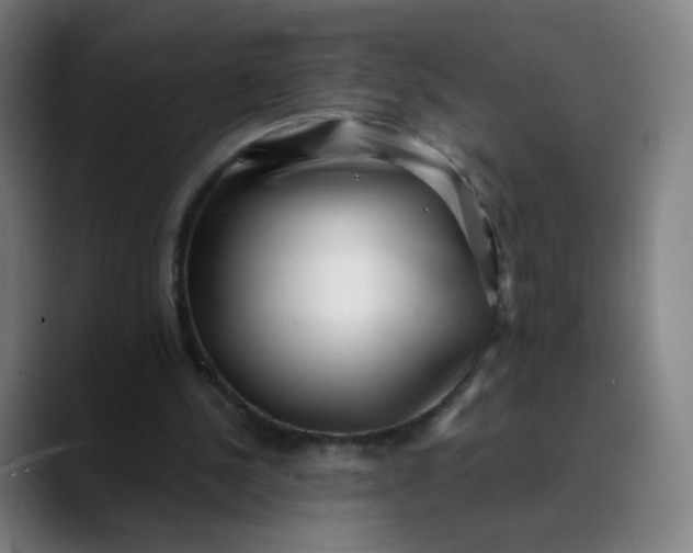 X0000089740244200707121512