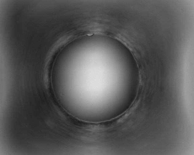 X0000089740245200707121512