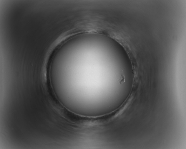 X0000089740246200707121512