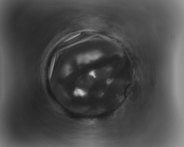 X0000089740247200707121512