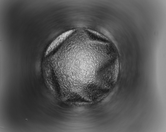 X0000089740249200707121512