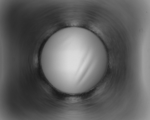 X0000089740251200707121512