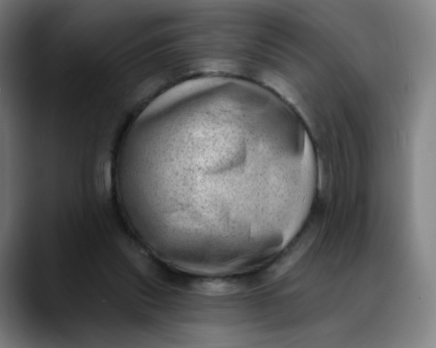 X0000089740253200707121512