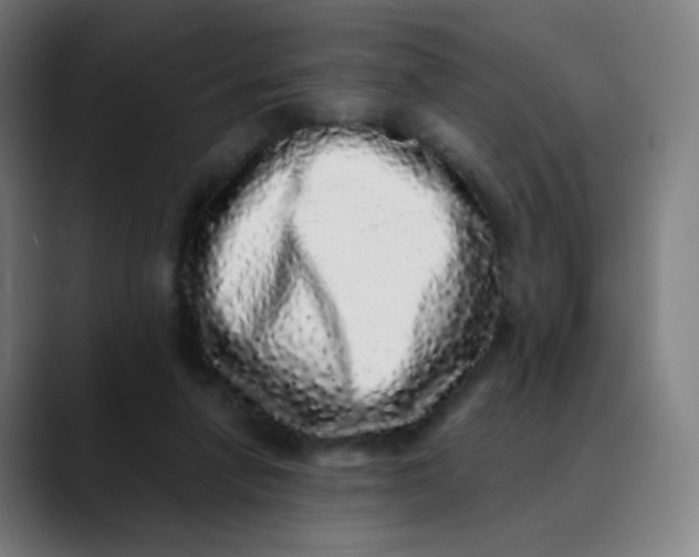 X0000089740258200707121512