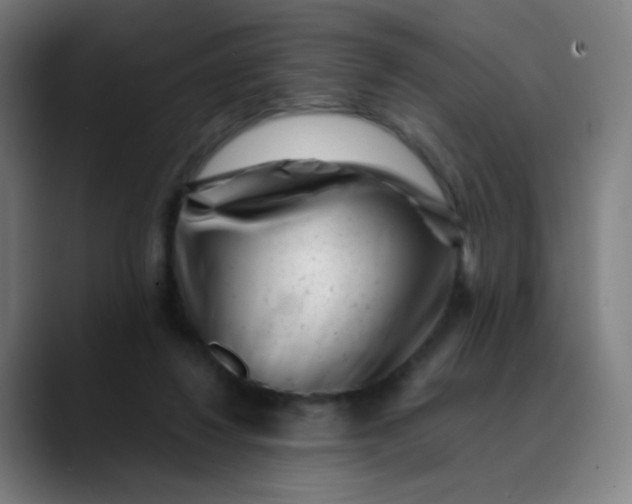 X0000089740260200707121512