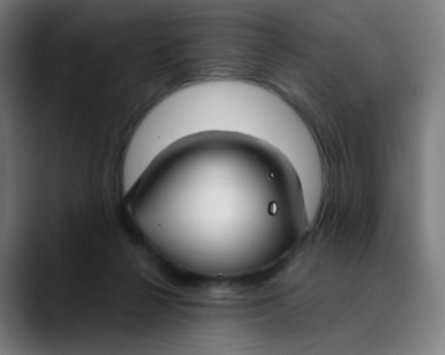 X0000089740264200707121512