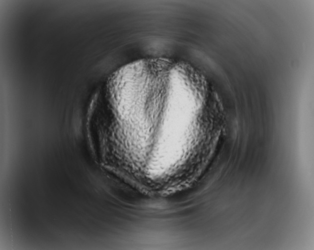 X0000089740266200707121512