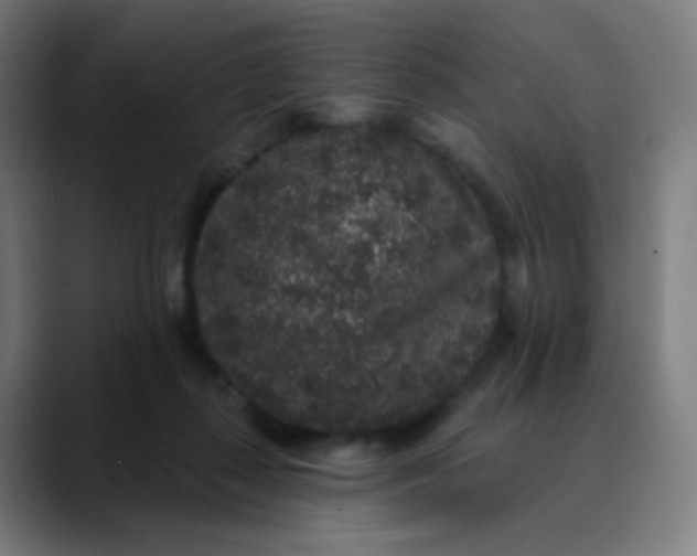 X0000089740267200707121512