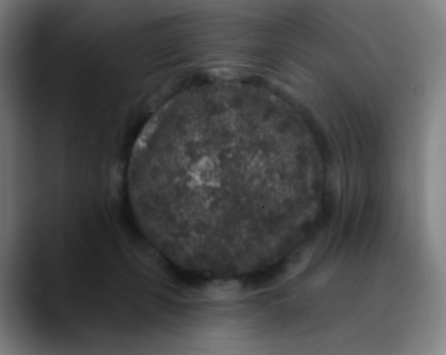 X0000089740271200707121512