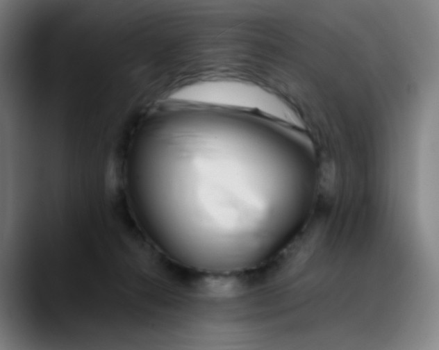 X0000089740272200707121512