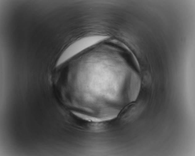 X0000089740273200707121512