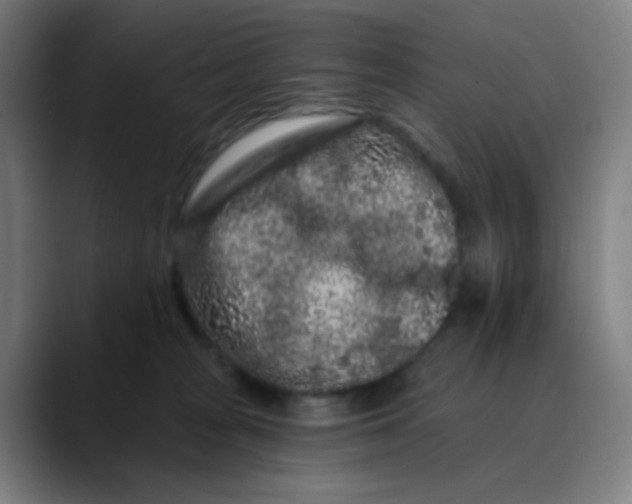 X0000089740277200707121513