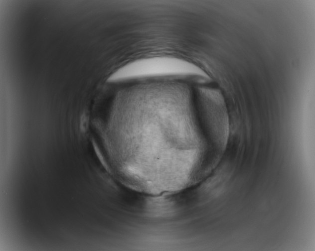 X0000089740281200707121513