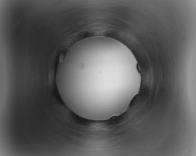 X0000089740283200707121513