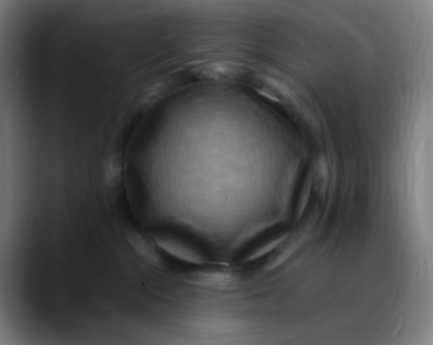 X0000089740284200707121513