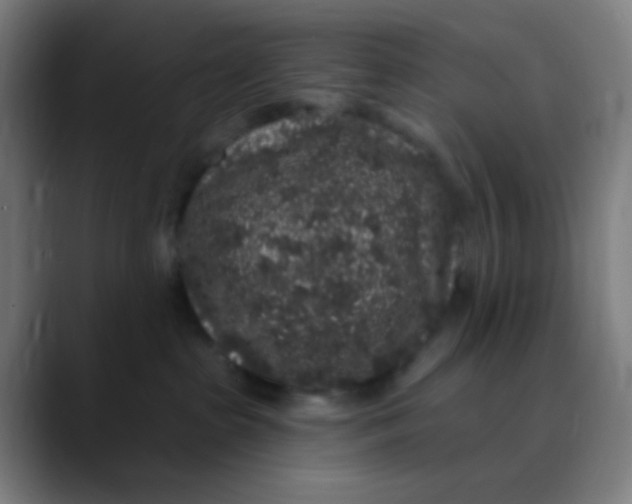 X0000089740285200707121513