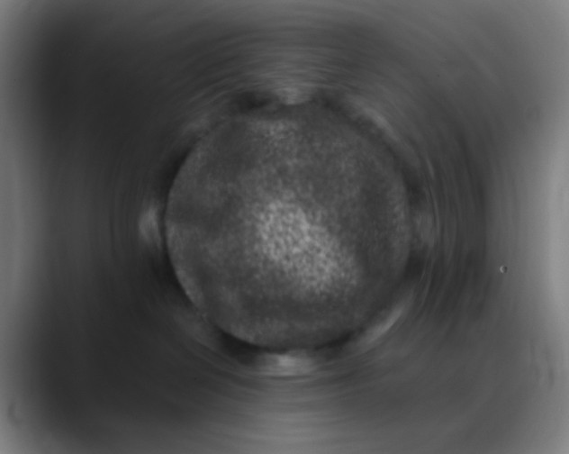 X0000089740286200707121513