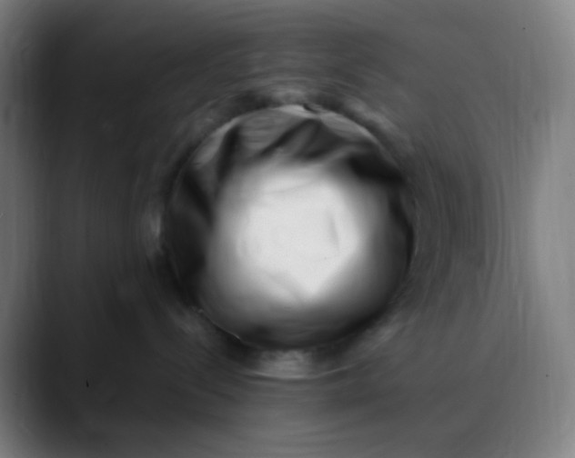 X0000089740288200707121513