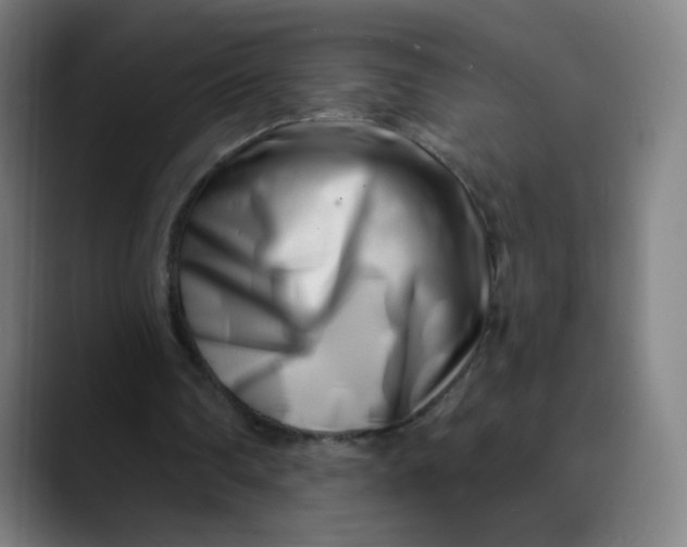 X0000089740290200707121512