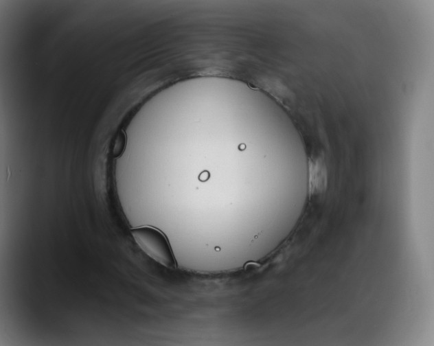 X0000089740291200707121512