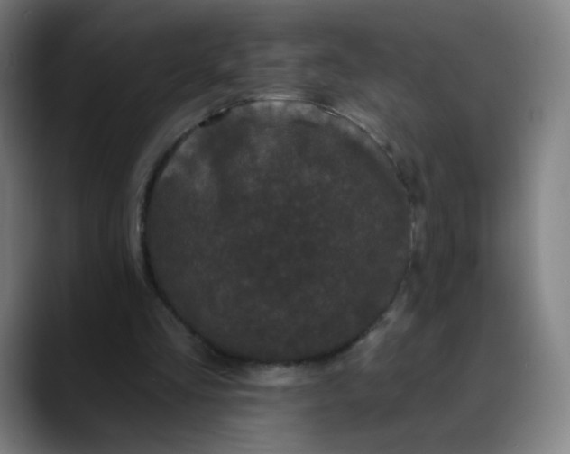 X0000089740293200707121512