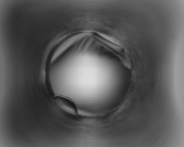 X0000089740294200707121512