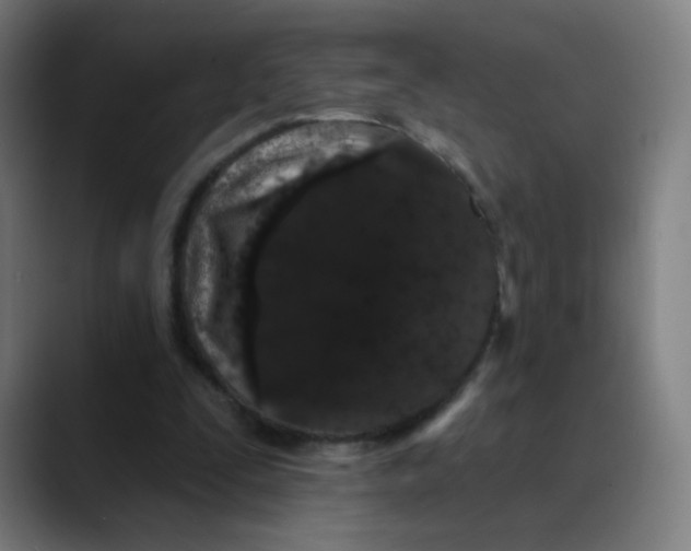 X0000089740295200707121512