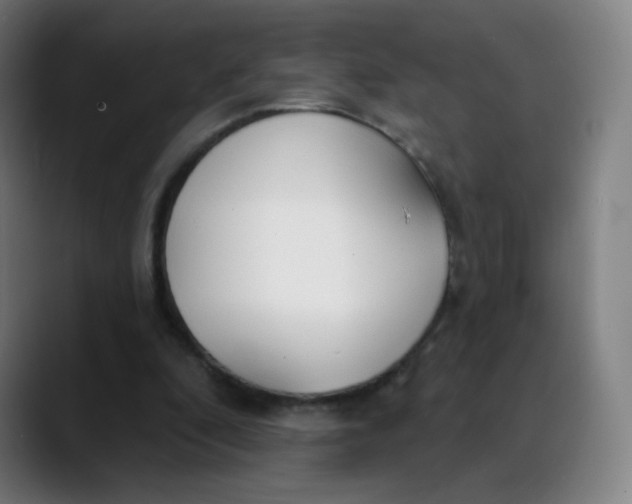 X0000089740296200707121512