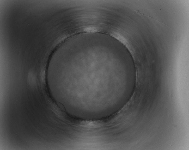 X0000089740297200707121512