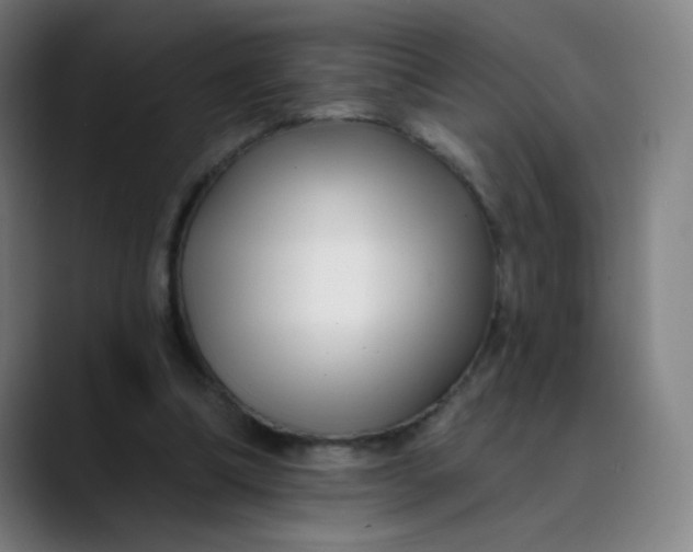 X0000089740298200707121512