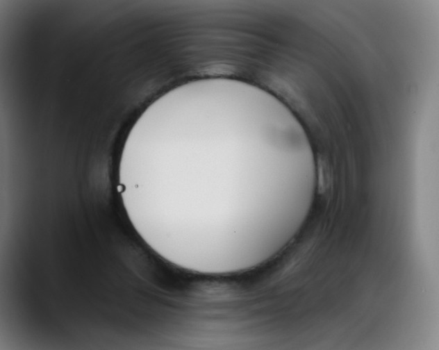 X0000089740300200707121512